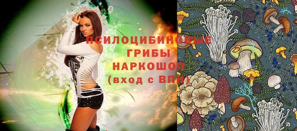 стафф Алзамай