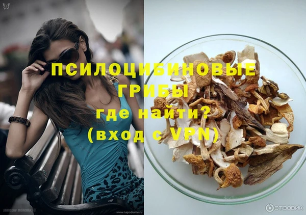 сатива Абинск